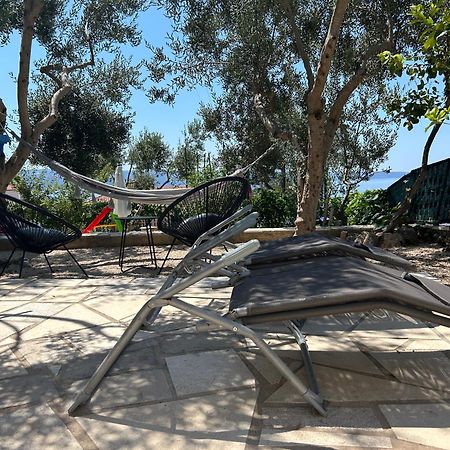 דוגי ראט Apartment Chiara מראה חיצוני תמונה